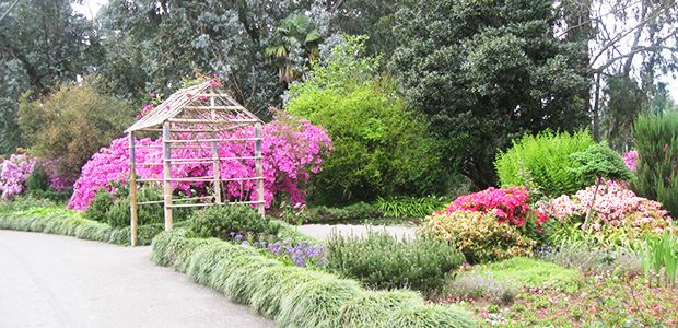 Batumi City Tour Botanical Garden