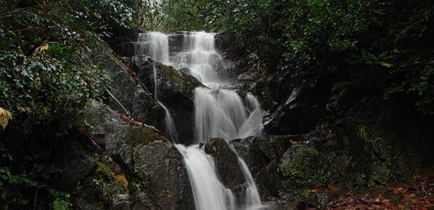 Kintrishi Protected Landscape