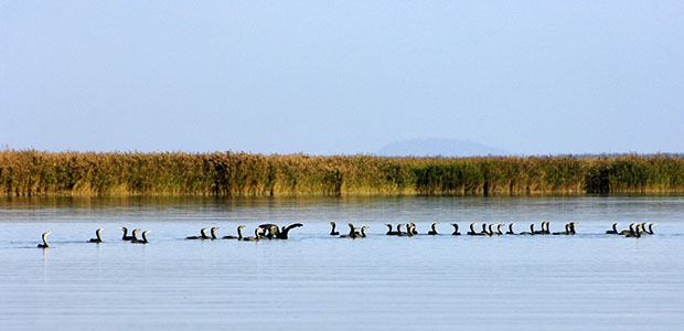 Miracles made by God and Human