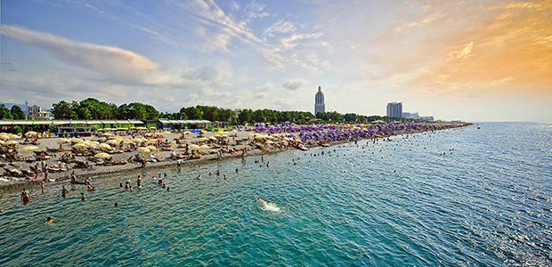 Чудеса субтропиков