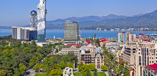 Чудеса субтропиков