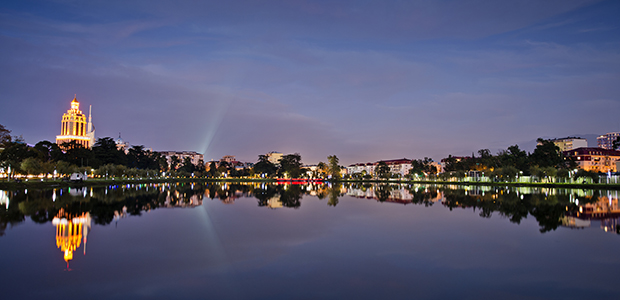 Чудеса субтропиков