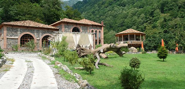 Wine Tour in the West Georgia